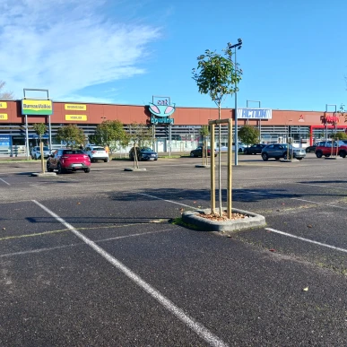 Vente - Agencement - Bureautique - Papeterie - Services informatiques - Fournitures bureau - Biscarrosse (40600)-photo-2