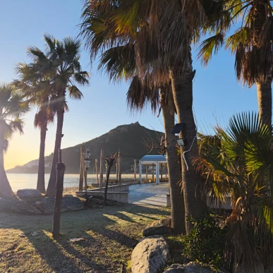 Vente - Restaurant - Haute-Corse (2B)-photo-4