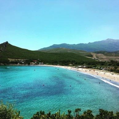 Vente - Restaurant - Haute-Corse (2B)-photo-2