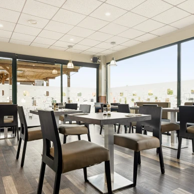 Vente - Bar - Brasserie - Restaurant - Chalons-en-champagne (51000)-photo-4